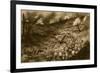 A Maelstrom of the Meuse: French Infantry Debouching to Attack a Flaming Ridge Near Douaumont-null-Framed Giclee Print