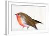 A magical little robin called Wisp, 2011,-Nancy Moniz Charalambous-Framed Giclee Print