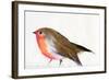 A magical little robin called Wisp, 2011,-Nancy Moniz Charalambous-Framed Giclee Print