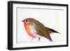 A magical little robin called Wisp, 2011,-Nancy Moniz Charalambous-Framed Giclee Print