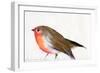 A Magical Little Robin Called Wisp, 2011-Nancy Moniz-Framed Giclee Print