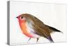 A Magical Little Robin Called Wisp, 2011-Nancy Moniz-Stretched Canvas