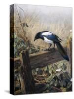 A Magpie Observing Fieldmice-Johan Gerard Keulemans-Stretched Canvas