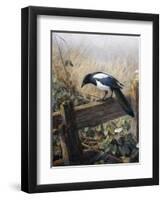 A Magpie Observing Fieldmice-Johan Gerard Keulemans-Framed Giclee Print