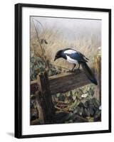 A Magpie Observing Fieldmice-Johan Gerard Keulemans-Framed Giclee Print