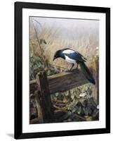 A Magpie Observing Fieldmice-Johan Gerard Keulemans-Framed Giclee Print