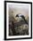 A Magpie Observing Fieldmice-Johan Gerard Keulemans-Framed Giclee Print