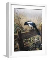 A Magpie Observing Fieldmice-Johan Gerard Keulemans-Framed Giclee Print