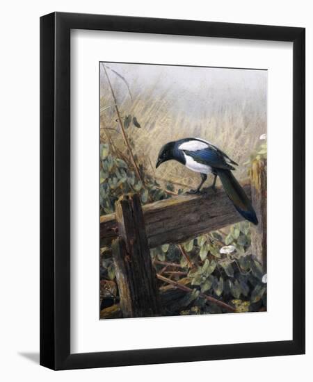 A Magpie Observing Fieldmice-Johan Gerard Keulemans-Framed Premium Giclee Print