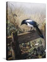 A Magpie Observing Fieldmice-Johan Gerard Keulemans-Stretched Canvas