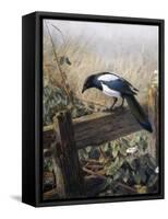 A Magpie Observing Fieldmice-Johan Gerard Keulemans-Framed Stretched Canvas