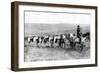 A Mail Caravan Crossing the Icelandic Plains, Iceland, 1922-null-Framed Premium Giclee Print