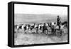 A Mail Caravan Crossing the Icelandic Plains, Iceland, 1922-null-Framed Stretched Canvas