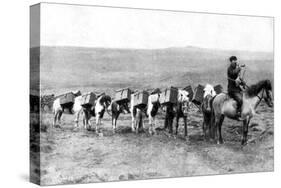 A Mail Caravan Crossing the Icelandic Plains, Iceland, 1922-null-Stretched Canvas