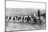 A Mail Caravan Crossing the Icelandic Plains, Iceland, 1922-null-Mounted Giclee Print