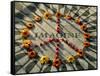 A Makeshift Peace Sign of Flowers Lies on Top John Lennon's Strawberry Fields Memorial-null-Framed Stretched Canvas