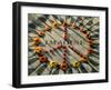 A Makeshift Peace Sign of Flowers Lies on Top John Lennon's Strawberry Fields Memorial-null-Framed Premium Photographic Print