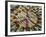 A Makeshift Peace Sign of Flowers Lies on Top John Lennon's Strawberry Fields Memorial-null-Framed Photographic Print