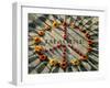 A Makeshift Peace Sign of Flowers Lies on Top John Lennon's Strawberry Fields Memorial-null-Framed Photographic Print