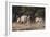 A male greater kudu (Tragelaphus strepsiceros) with its harem of females, Botswana, Africa-Sergio Pitamitz-Framed Photographic Print