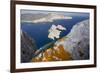 A Male Ibiza Wall Lizard on the Summit of Es Vedra Looking Toward Ibiza-Day's Edge Productions-Framed Photographic Print