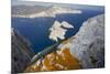 A Male Ibiza Wall Lizard on the Summit of Es Vedra Looking Toward Ibiza-Day's Edge Productions-Mounted Photographic Print