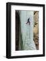 A Male Ice Climber Climbing the 6th Pitch of Broken Hearts, (Wi5), Cody Wyoming-Daniel Gambino-Framed Photographic Print