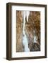 A Male Ice Climber on the First Pitch of Zenith Ice Route Near Banks Lake in Washington-Ben Herndon-Framed Photographic Print