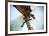 A Male Ice Climber Solos as He Stems Between Ice Columns at Banks Lake in Central Washington-Ben Herndon-Framed Photographic Print