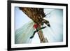 A Male Ice Climber Solos as He Stems Between Ice Columns at Banks Lake in Central Washington-Ben Herndon-Framed Photographic Print