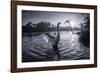 A Male Mute Swan in a Pond Stretches His Wings in Ibirapuera Park-Alex Saberi-Framed Photographic Print