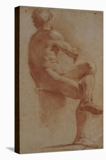 A Male Nude Seated with His Back Turned-Annibale Carracci-Stretched Canvas