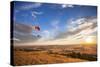 A Male Paraglider Paraglides Above Rolling Farm Lands at Sunset Near Moscow, Idaho-Ben Herndon-Stretched Canvas