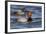 A Male Redhead on the Chesapeake Bay in Maryland, with a Male Canvasback in the Background-Neil Losin-Framed Photographic Print