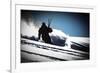 A Male Skier Makes High-Speed Powder Turns Down Butter Bowl, Southern Chugach Mountains, Alaska-Jay Goodrich-Framed Photographic Print