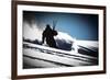 A Male Skier Makes High-Speed Powder Turns Down Butter Bowl, Southern Chugach Mountains, Alaska-Jay Goodrich-Framed Photographic Print