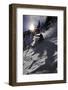 A Male Skier Travels Down the Mountain at Snowbird, Utah-Adam Barker-Framed Photographic Print