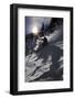 A Male Skier Travels Down the Mountain at Snowbird, Utah-Adam Barker-Framed Photographic Print