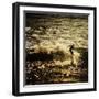 A Male Surfer Rides A Wave In The Pacific Ocean Off The Coast Of Santa Cruz This Image Tinted-Ron Koeberer-Framed Photographic Print