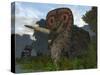 A Male Torosaurus Drinks from a River-Stocktrek Images-Stretched Canvas