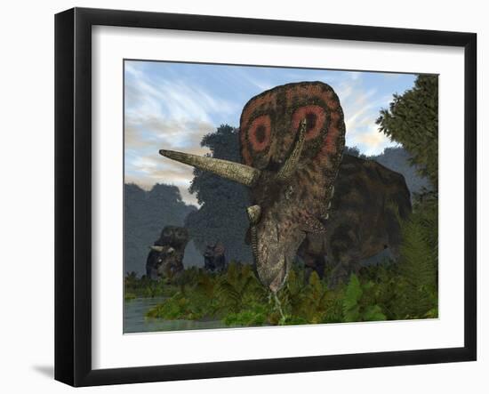 A Male Torosaurus Drinks from a River-Stocktrek Images-Framed Photographic Print