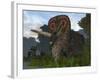 A Male Torosaurus Drinks from a River-Stocktrek Images-Framed Photographic Print