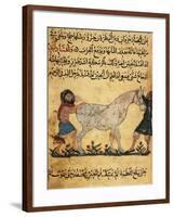 A Man Assisting a Mare Giving Birth to a Foal, Miniature from a Treatise on Horses-null-Framed Giclee Print