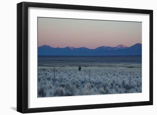 A Man at Dusk Crosses the Wilderness of the Sajama National Park, Bolivia-Alex Saberi-Framed Premium Photographic Print