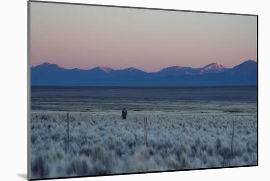 A Man at Dusk Crosses the Wilderness of the Sajama National Park, Bolivia-Alex Saberi-Mounted Photographic Print