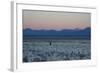 A Man at Dusk Crosses the Wilderness of the Sajama National Park, Bolivia-Alex Saberi-Framed Photographic Print