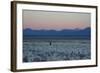 A Man at Dusk Crosses the Wilderness of the Sajama National Park, Bolivia-Alex Saberi-Framed Photographic Print