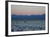 A Man at Dusk Crosses the Wilderness of the Sajama National Park, Bolivia-Alex Saberi-Framed Photographic Print