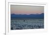 A Man at Dusk Crosses the Wilderness of the Sajama National Park, Bolivia-Alex Saberi-Framed Photographic Print