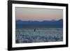 A Man at Dusk Crosses the Wilderness of the Sajama National Park, Bolivia-Alex Saberi-Framed Photographic Print